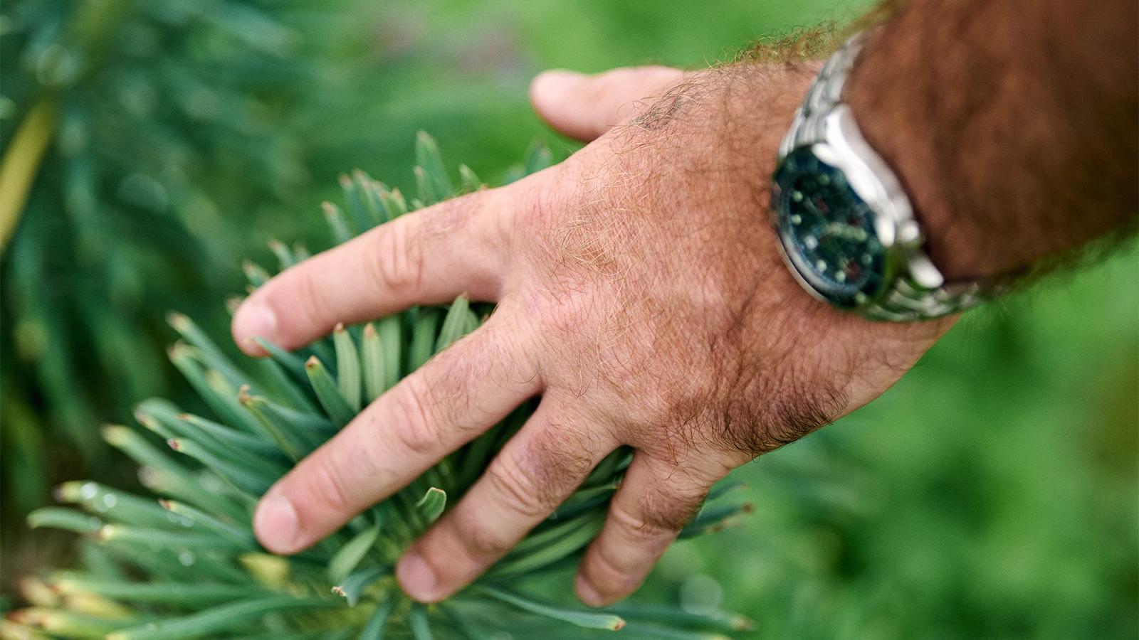 Benjamin White outdoors in a natural setting, staying grounded