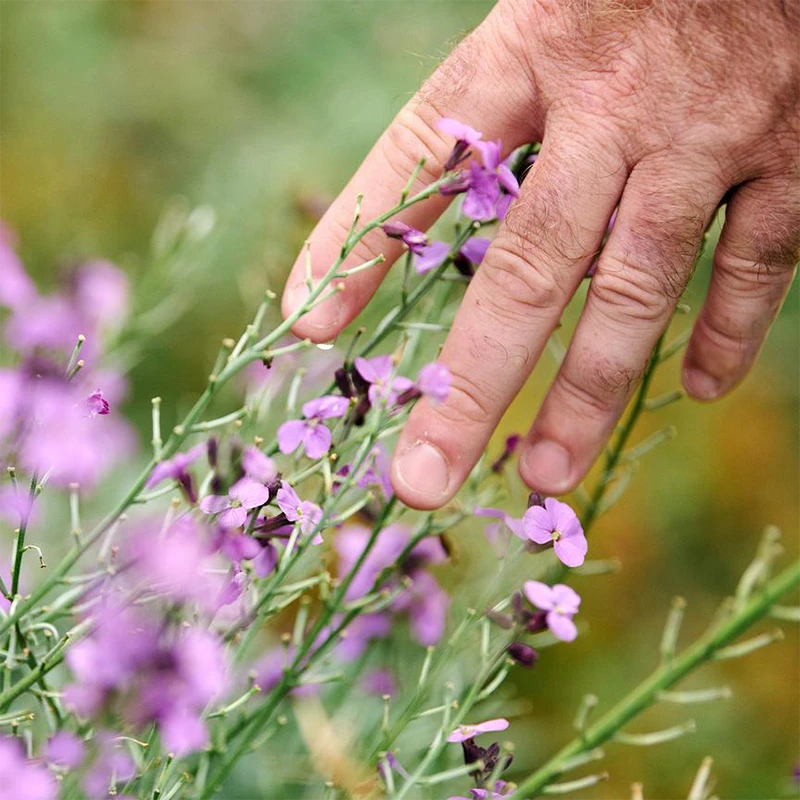 Touching Grass: When a Personal Branding Session Captures a Concept, Not Just a Person