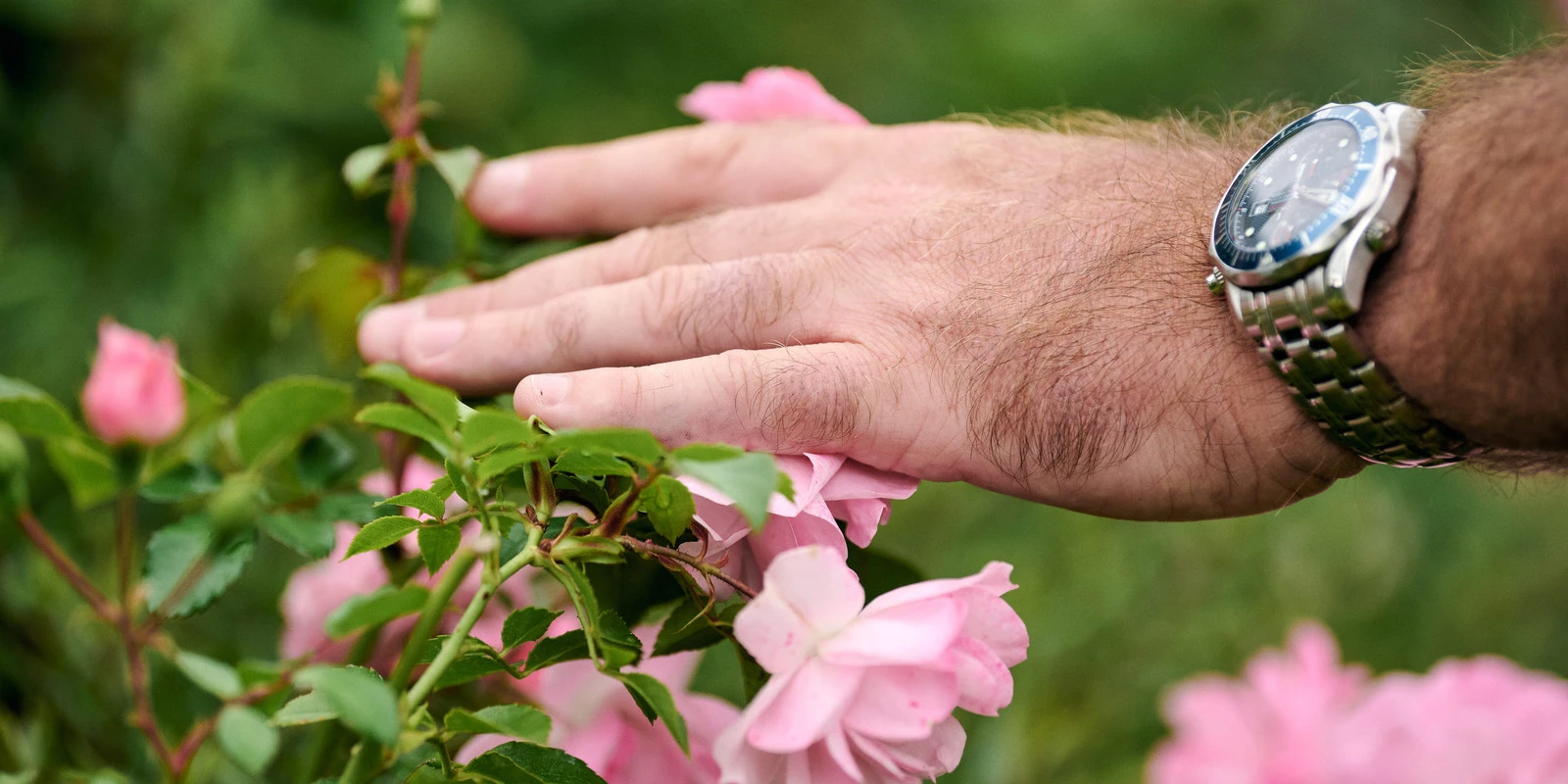 Touching Grass: When a Personal Branding Session Captures a Concept, Not Just a Person